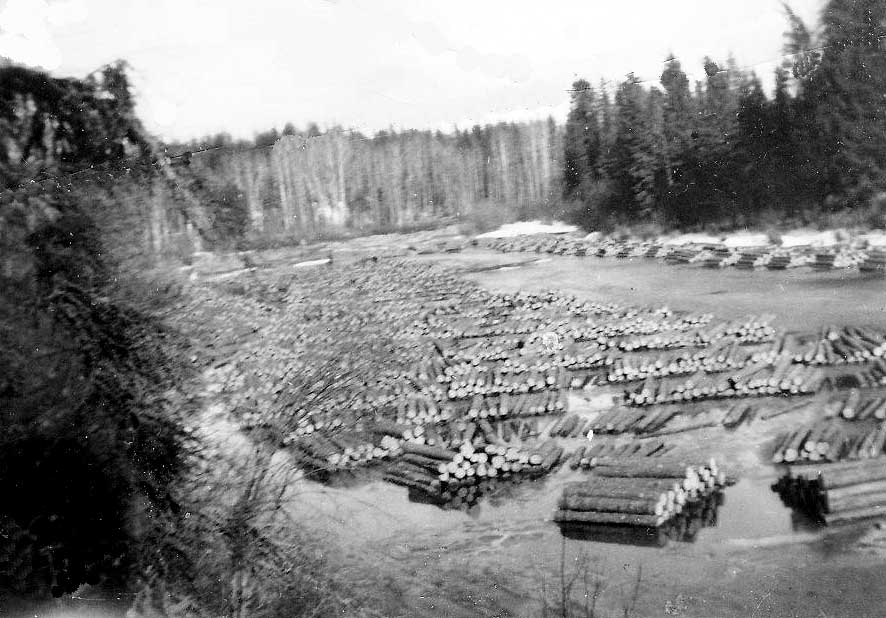 Logs Piled on Martineau River